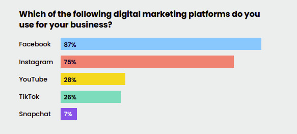 Digital Marketing Platform Survey
