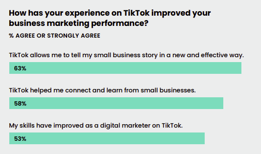 TikTok Performance Survey